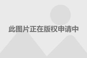 搭载混动系统 新款丰田YARiS官图发布