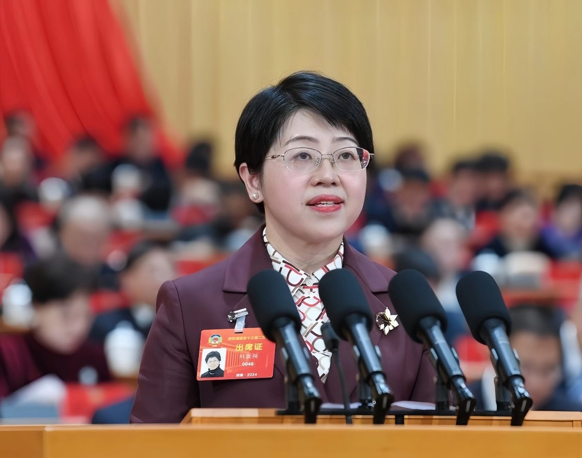 打开增长天花板，代表委员建言汽车“出海”